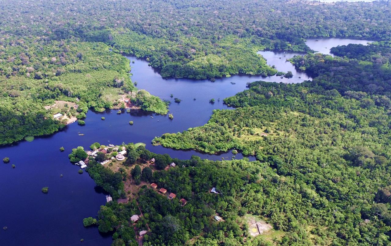 Amazon Turtle Lodge Careiro Luaran gambar