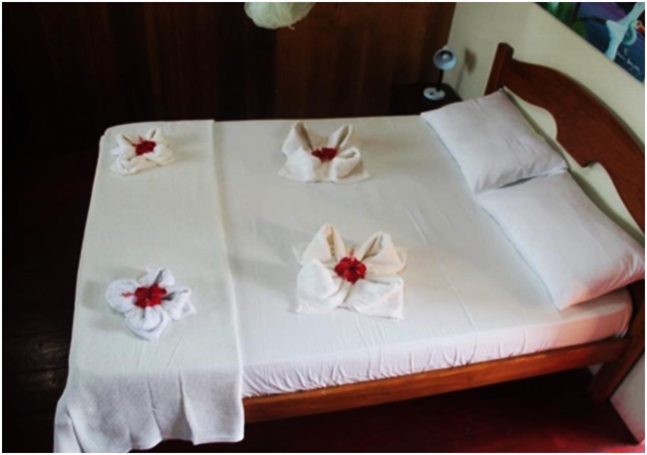 Amazon Turtle Lodge Careiro Luaran gambar