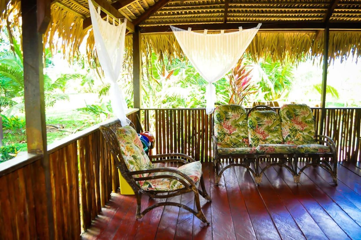 Amazon Turtle Lodge Careiro Luaran gambar